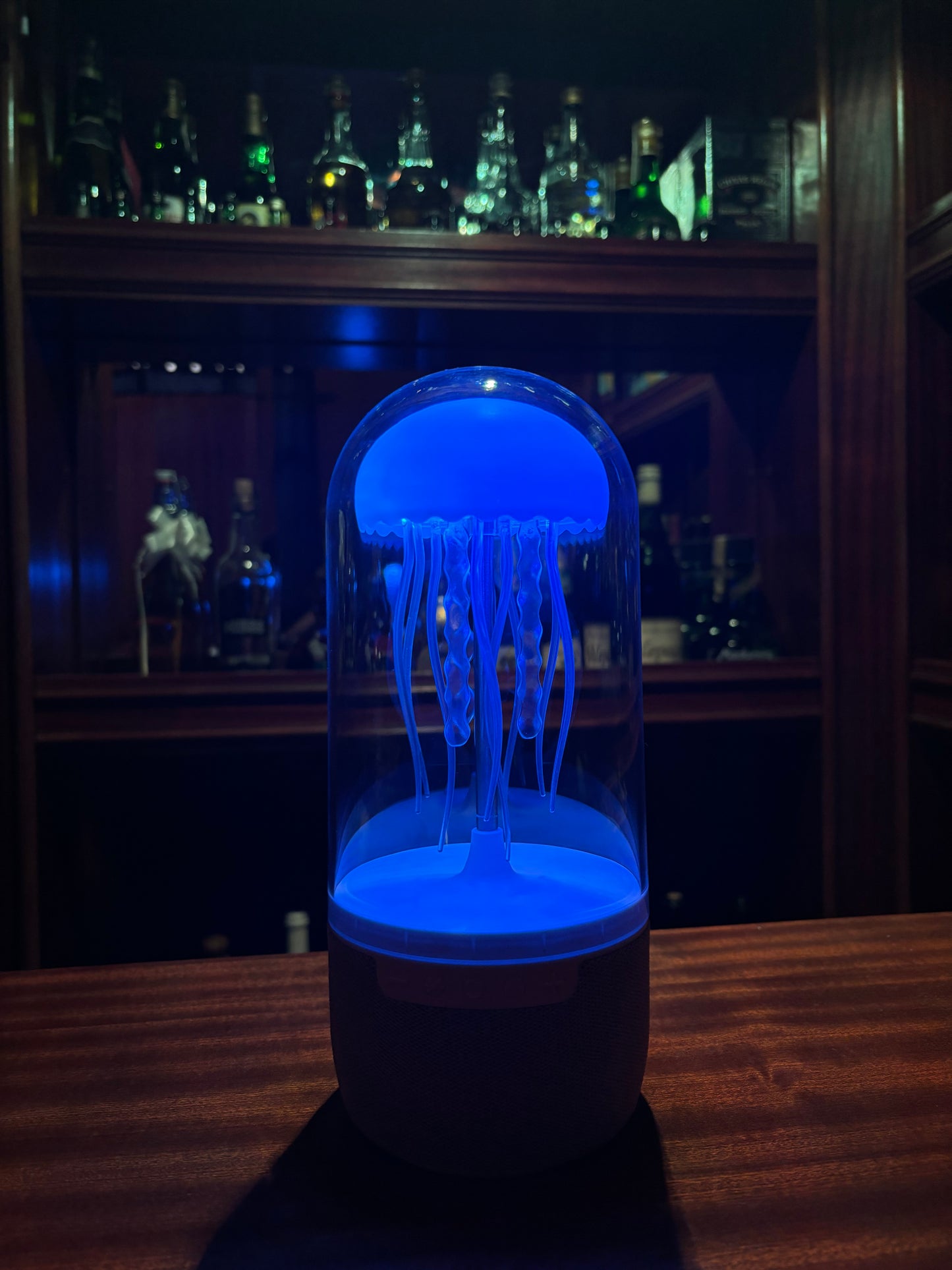 Jellyfish Speaker